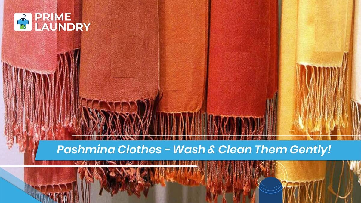 Wash Clean Pashmina Clothes and Scarves